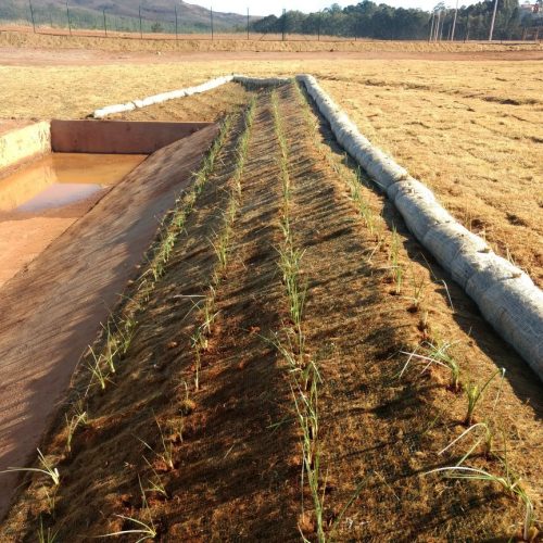 Biomanta + Vetiver + Biorretentor