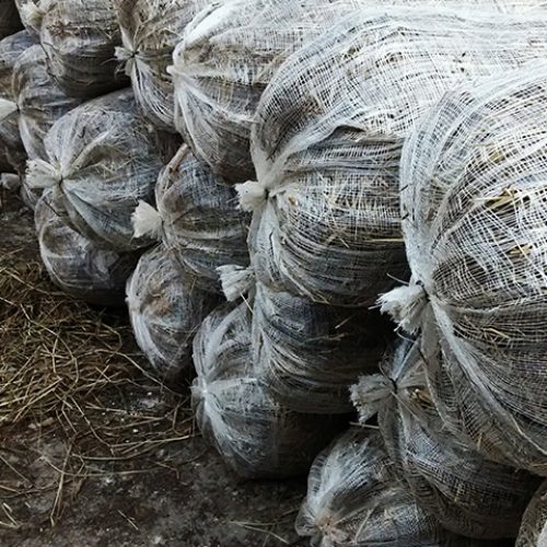 Instalação de Biorretentores