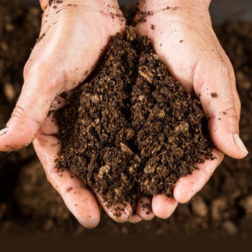 composto-organico-3