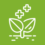 icone_tecnicas de bioengenharia